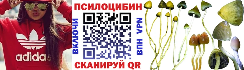 Галлюциногенные грибы Cubensis  Ноябрьск 